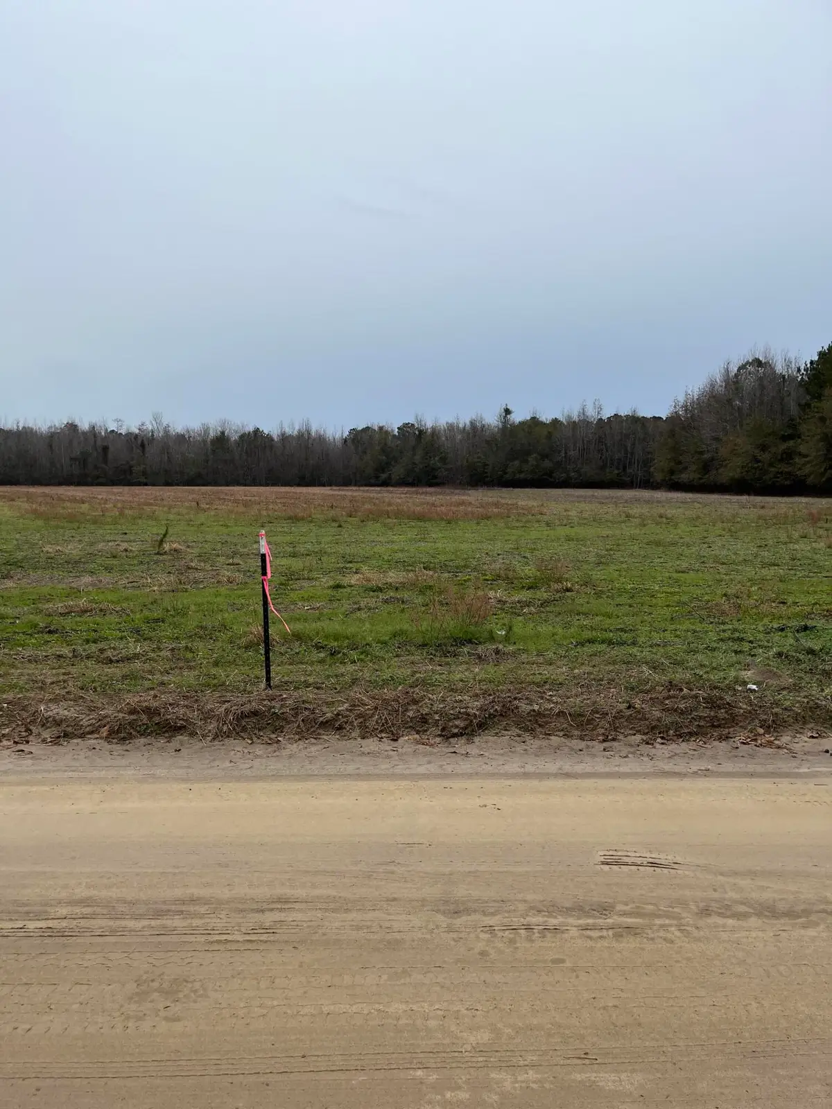 00 Ryn Street, Cope, SC 29038 - Image #1