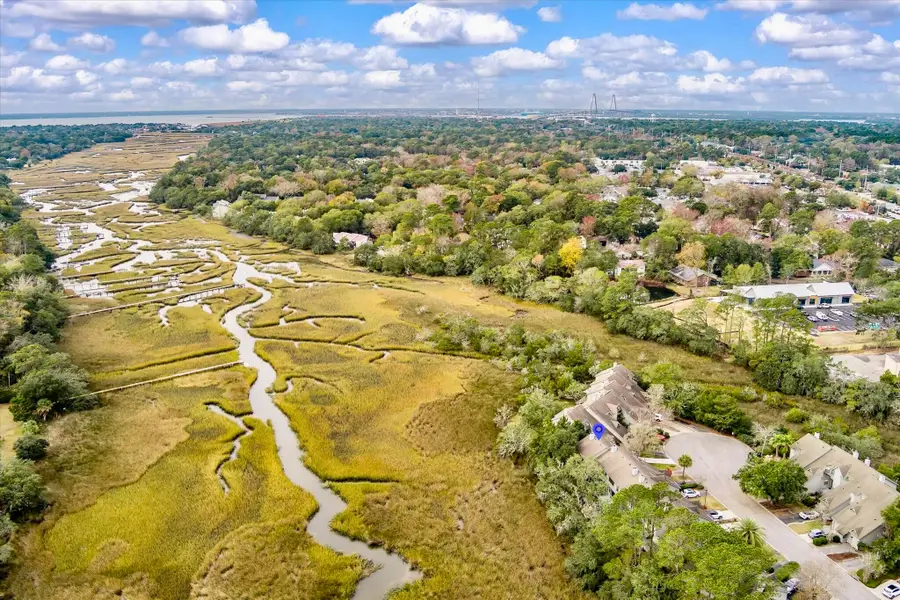 1080 Marsh Court Lane, Mount Pleasant, SC 29464 - Image #3