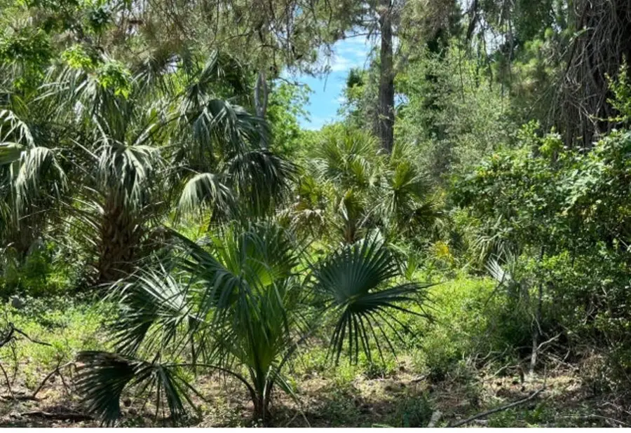 628 Jan Savage Way, Edisto Island, SC 29438 - Image #2