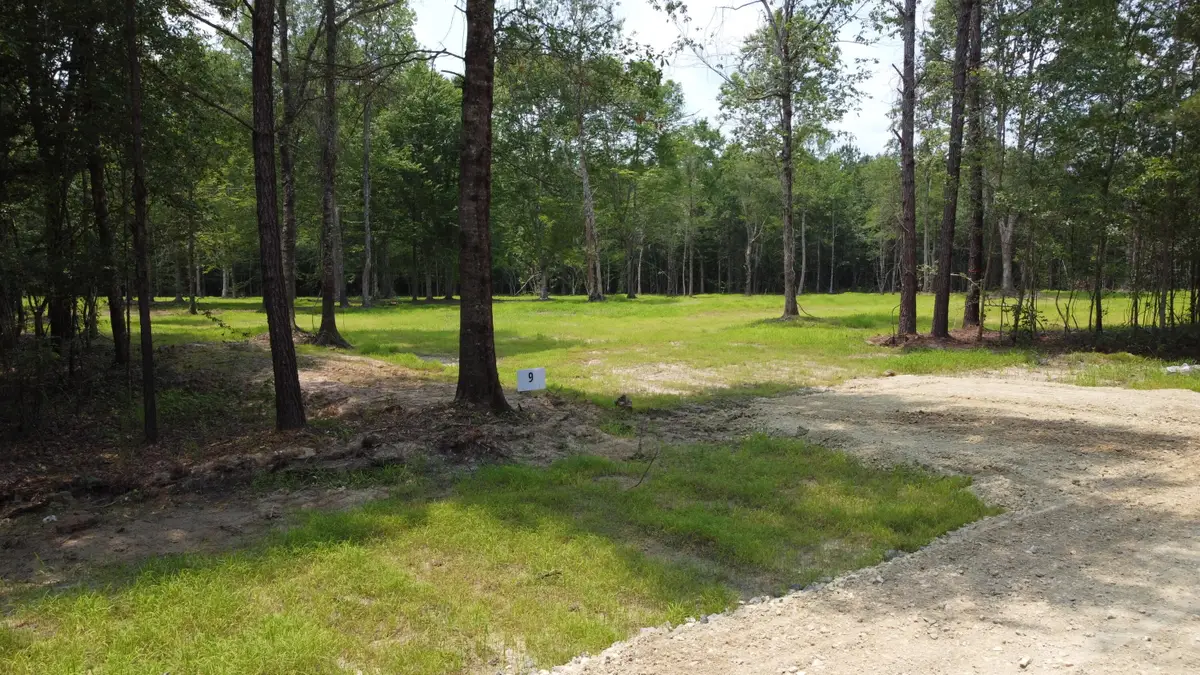 9 Steed Creek Road, Huger, SC 29450 - Image #1