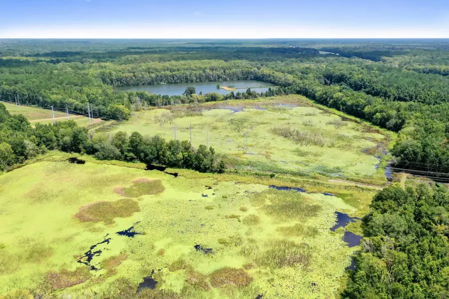 730 Taylor Mill Road, Ridgeland, SC 29936 - Image #2