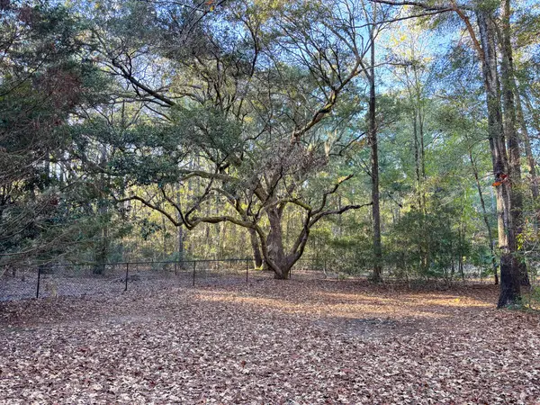 Address Withheld By Seller, Johns Island, SC 29455