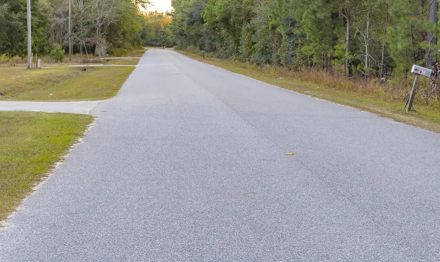 00 Tyler Road, Orangeburg, SC 29115 - Image #2