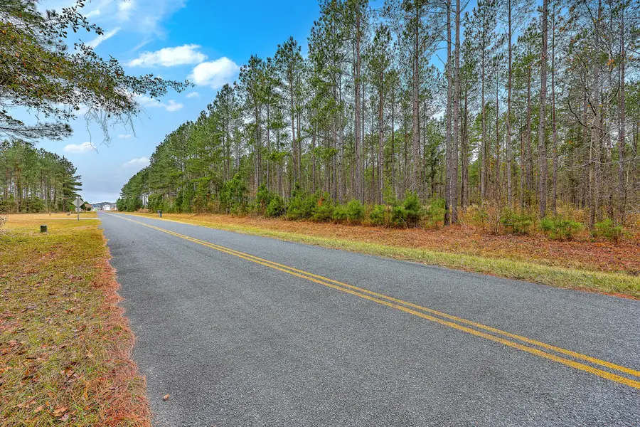 00 Shuler Belt Road, Holly Hill, SC 29059 - Image #2