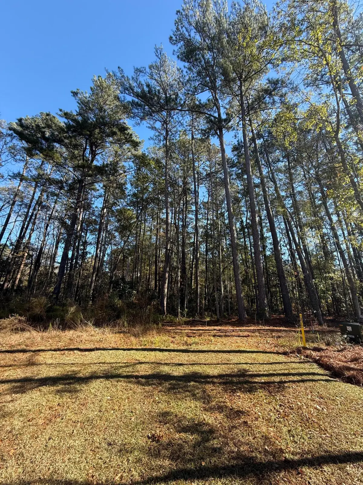 0 Almond Court, Summerville, SC 29483 - Image #1