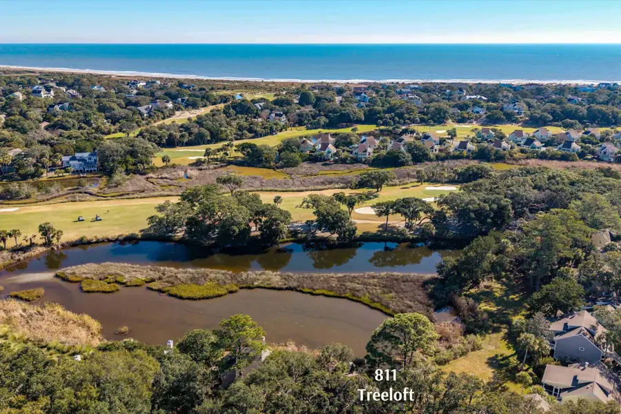 811 Treeloft Trace, Seabrook Island, SC 29455 - Image #2