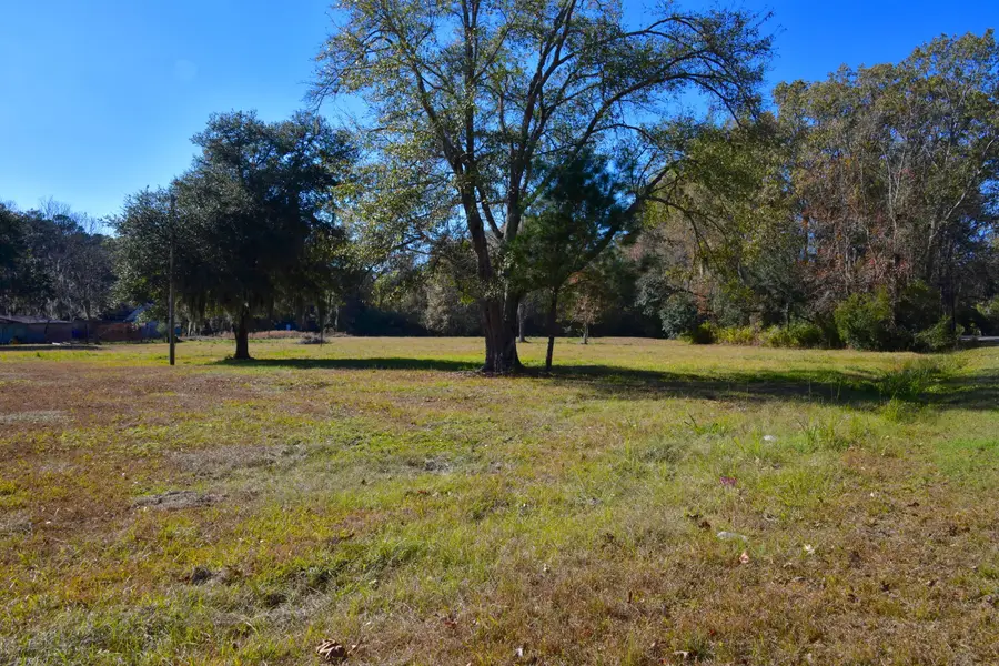 6721 Toogoodoo Road, Hollywood, SC 29449 - Image #2