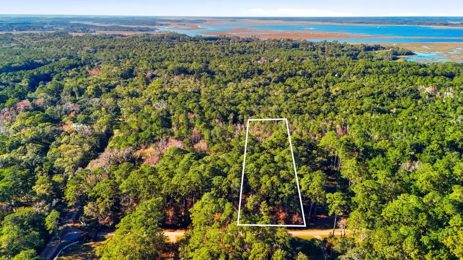 7783 Chaplin Garden Lane, Edisto Island, SC 29438 - Image #2