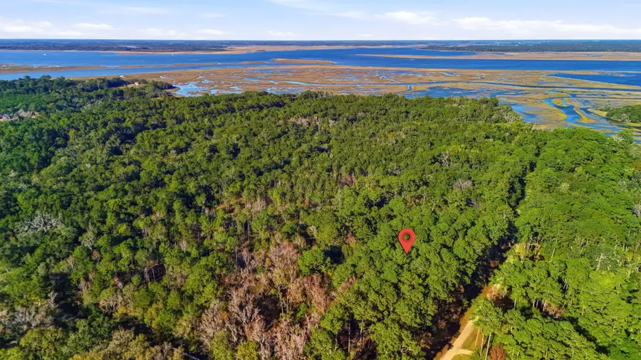 7787 Chaplin Garden Lane, Edisto Island, SC 29438 - Image #3