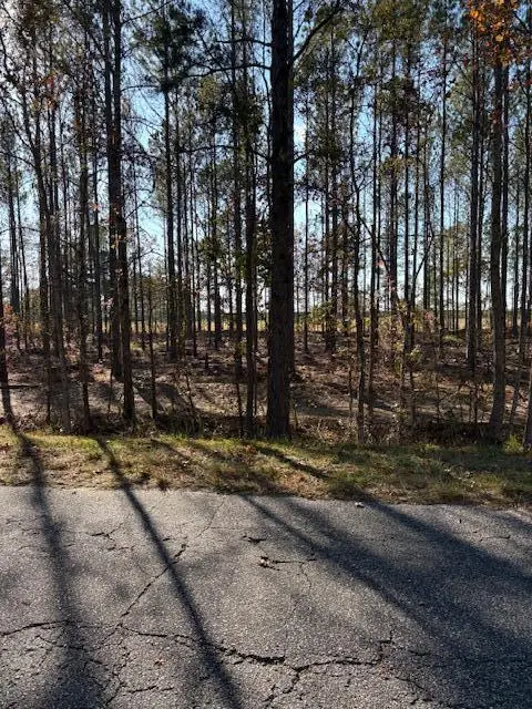 0 Wilson Landing Road, Cross, SC 29436 - Image #3