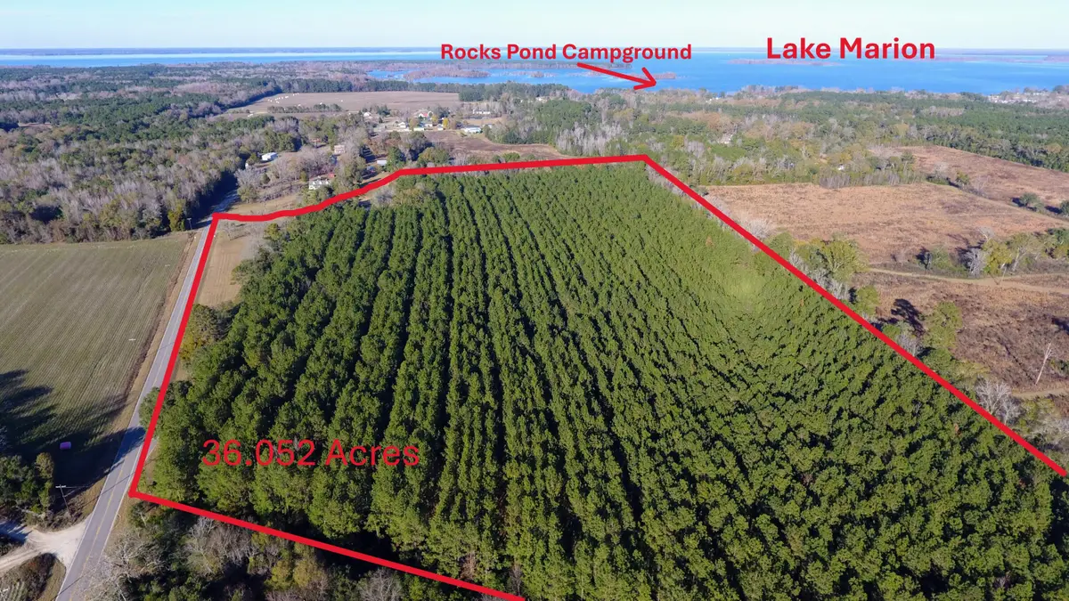 151 Broughton Drive, Eutawville, SC 29048 - Image #1