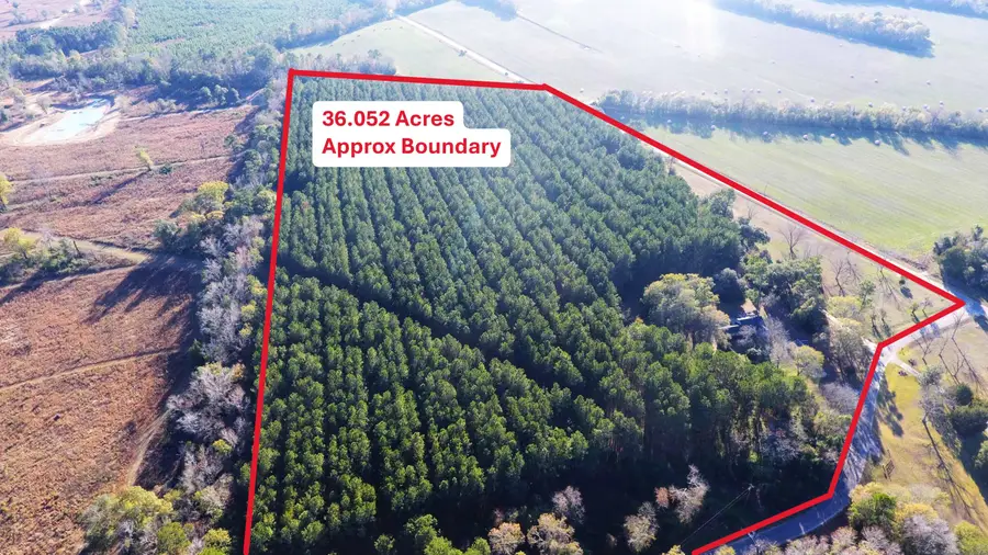 151 Broughton Drive, Eutawville, SC 29048 - Image #2