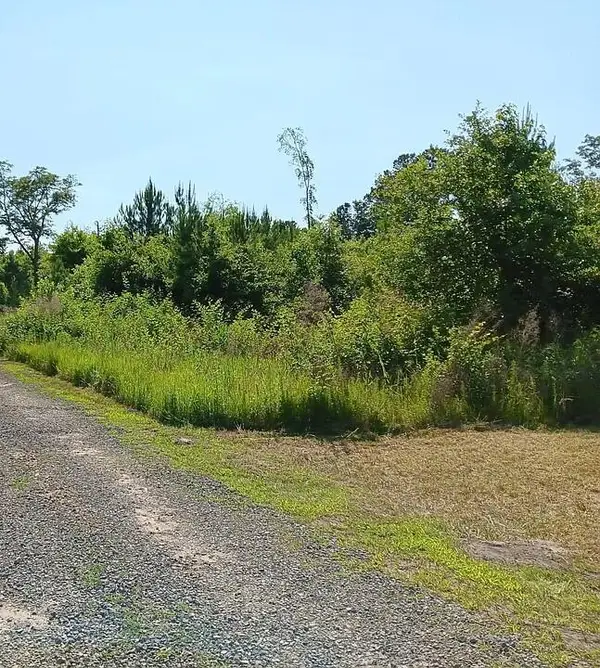 00 Primus Drive, Saint George, SC 29477