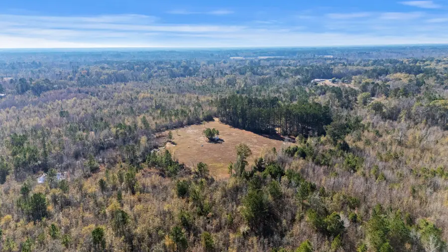 000 Primus Drive, Saint George, SC 29477 - Image #2