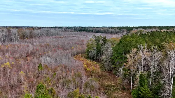 1215 Sandy Run Circle, Summerville, SC 29486