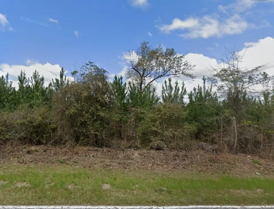 0 Moore Road, Barnwell, SC 29812 - Image #2