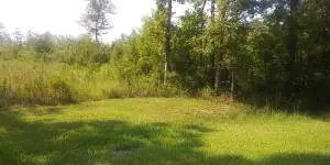 258 Truth Way, Cordesville, SC 29434 - Image #1