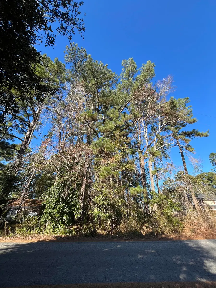 228 Wilson Drive, Summerville, SC 29483 - Image #3