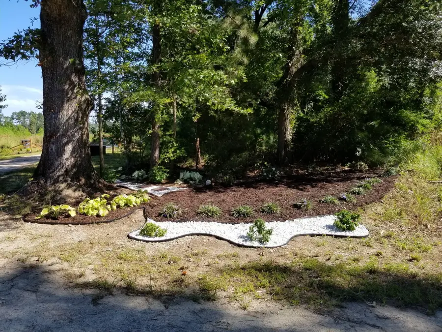 00 Hill Branch Road, Ridgeville, SC 29472 - Image #3