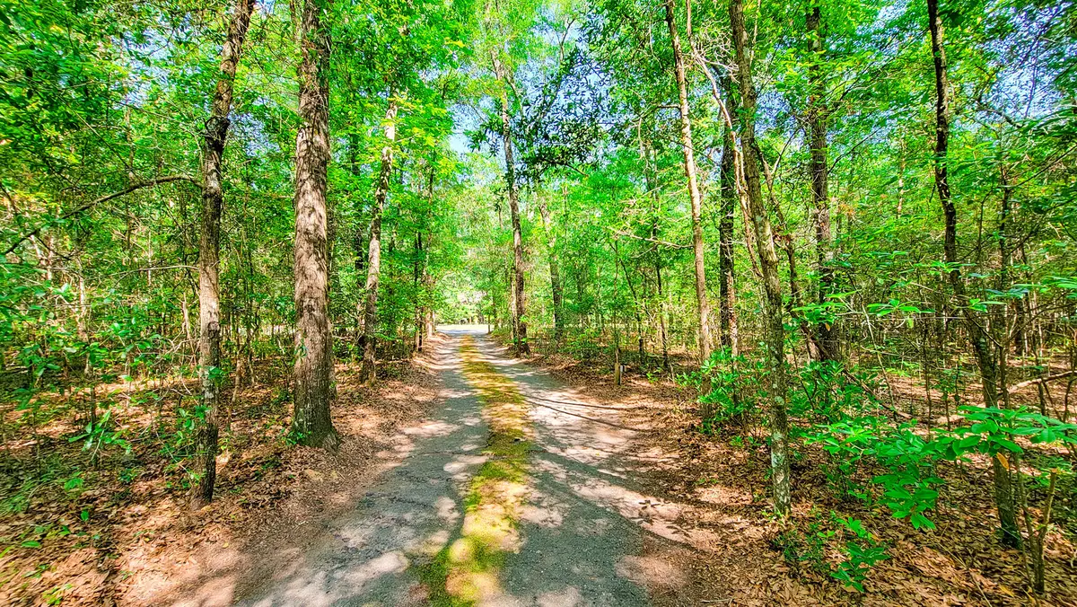 328 Sandy Springs Circle, Walterboro, SC 29488 - Image #1