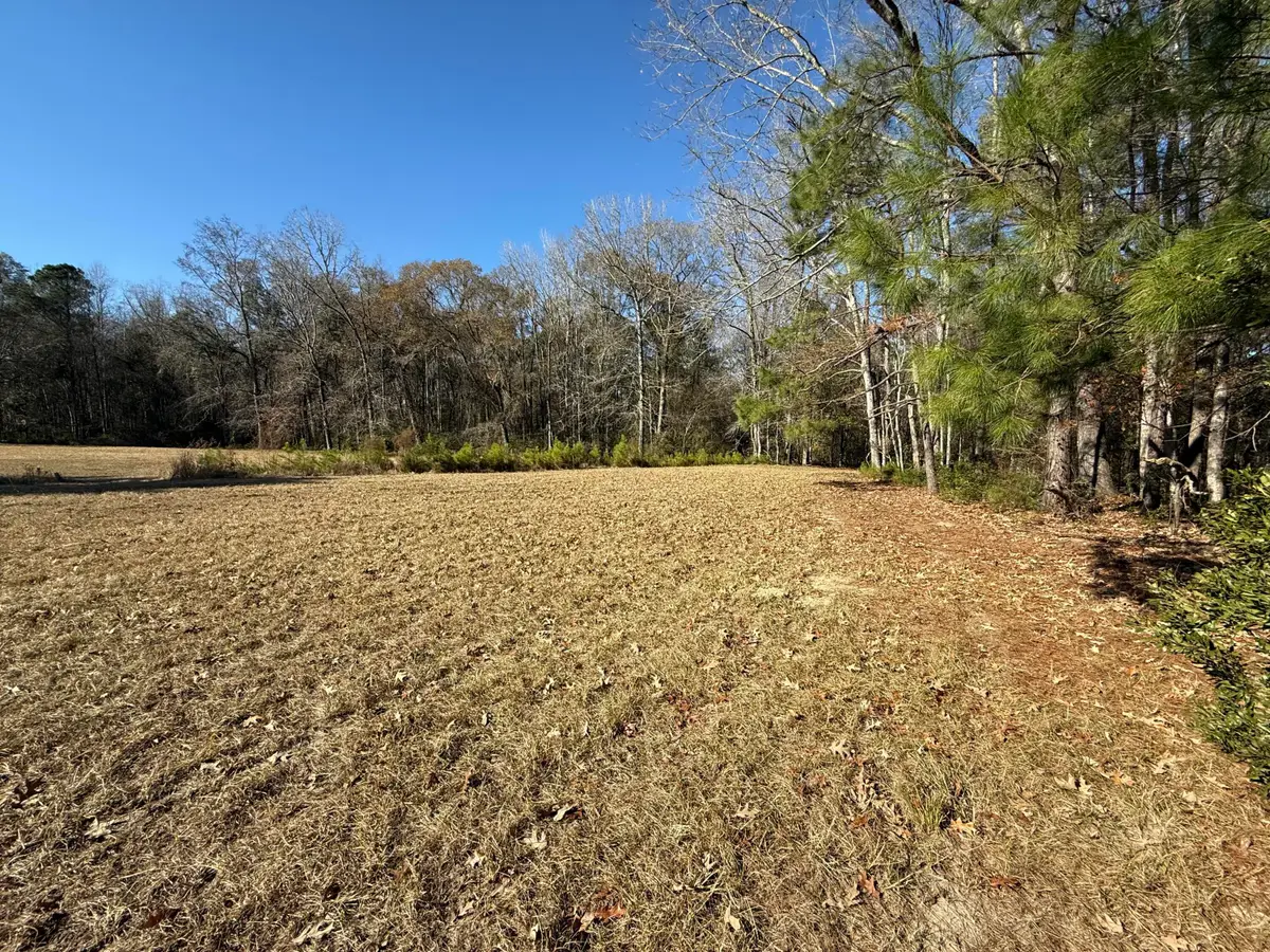 0 Cameron Drive, Ridgeville, SC 29472 - Image #1