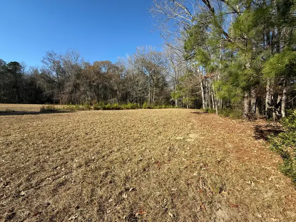 0 Cameron Drive, Ridgeville, SC 29472