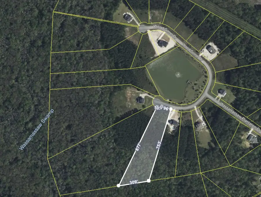 1305 Wood Sorrel Drive, Moncks Corner, SC 29461 - Image #2