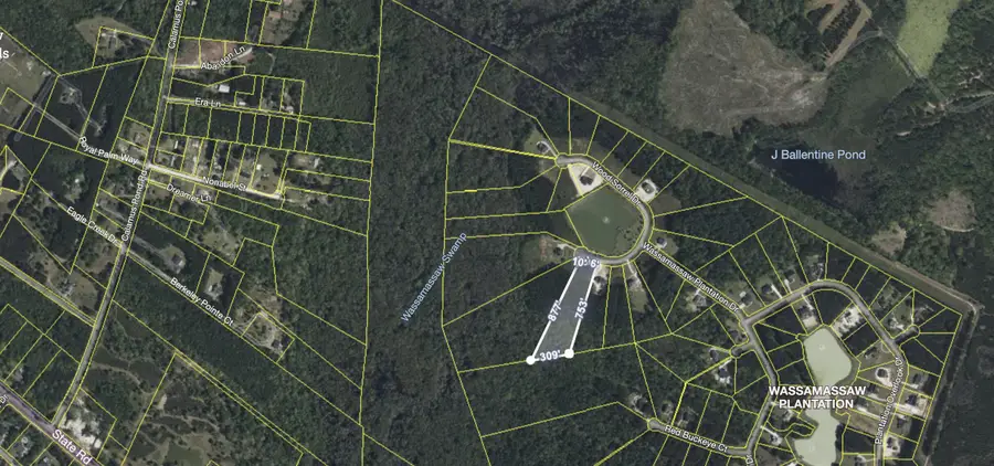 1305 Wood Sorrel Drive, Moncks Corner, SC 29461 - Image #3