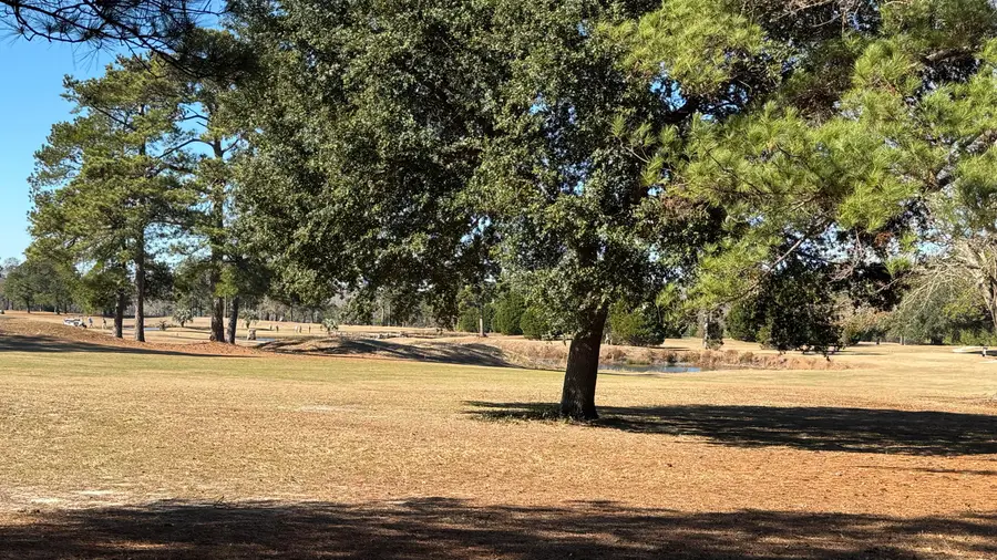 Tbd Bloomville Road, Manning, SC 29102 - Image #3