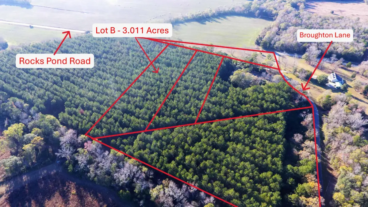 0 Broughton (lot B) Lane, Eutawville, SC 29048 - Image #1