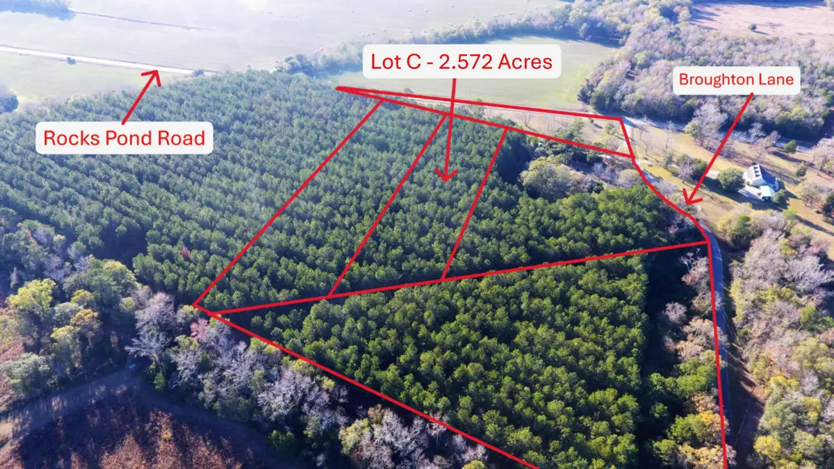 00 Broughton (lot C) Lane, Eutawville, SC 29048 - Image #1