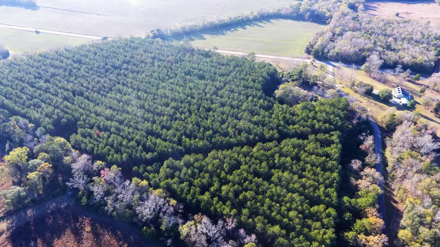 000 Broughton (lot E) Lane, Eutawville, SC 29048 - Image #2