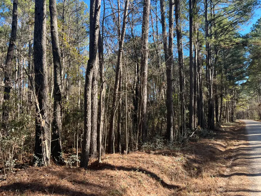 0 Brittlebank Road, Walterboro, SC 29488 - Image #2