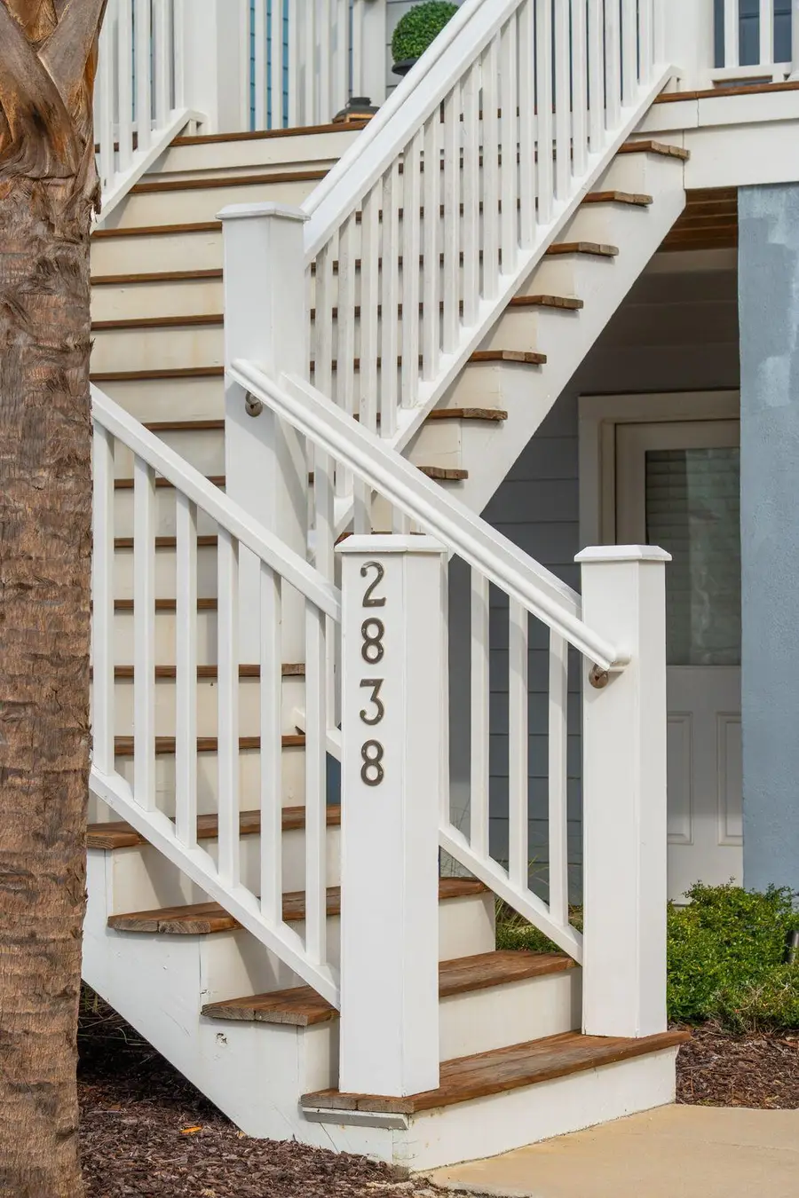 2838 Dragonfly Circle, Mount Pleasant, SC 29466 - Image #3