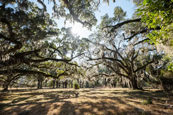 2 Mauricena Road, Georgetown, SC 29440