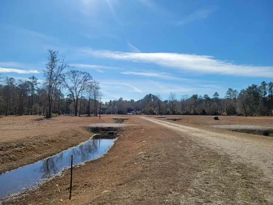 170 Rice Gate Court, Walterboro, SC 29488 - Image #3