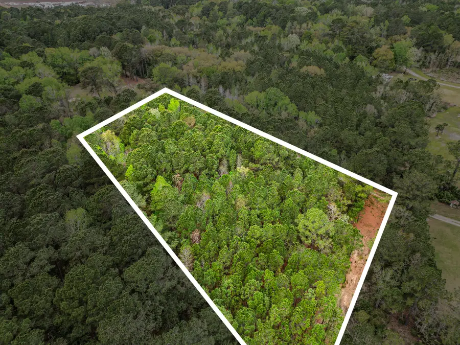 0 Bennetts Point Road, Green Pond, SC 29446 - #3