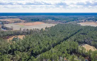 122 Deer Run Avenue, Andrews, SC 29510 - Image #3