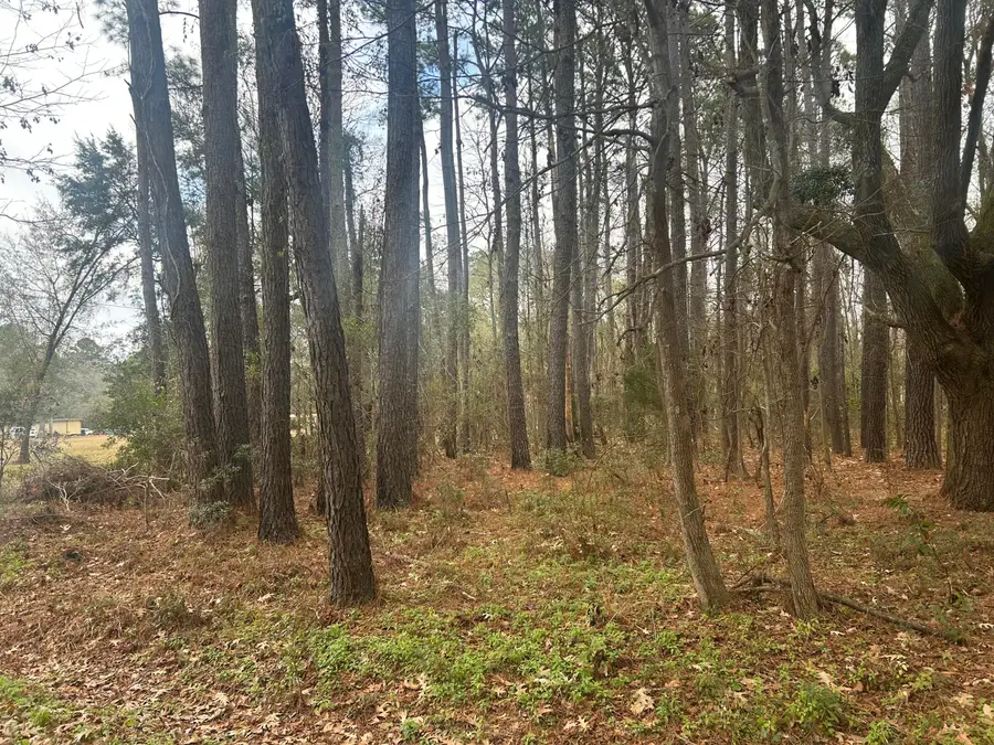 2437 Cape Road, Johns Island, SC 29455 - Image #3