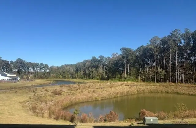 596 Scholar Way, Summerville, SC 29486 - Image #2