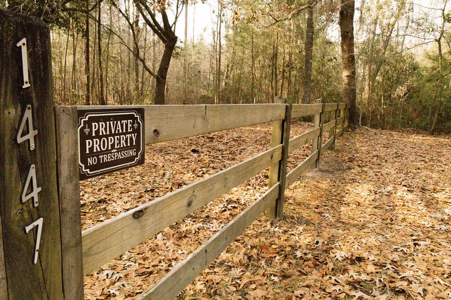 1447 Black Creek Road, Walterboro, SC 29488 - Image #3