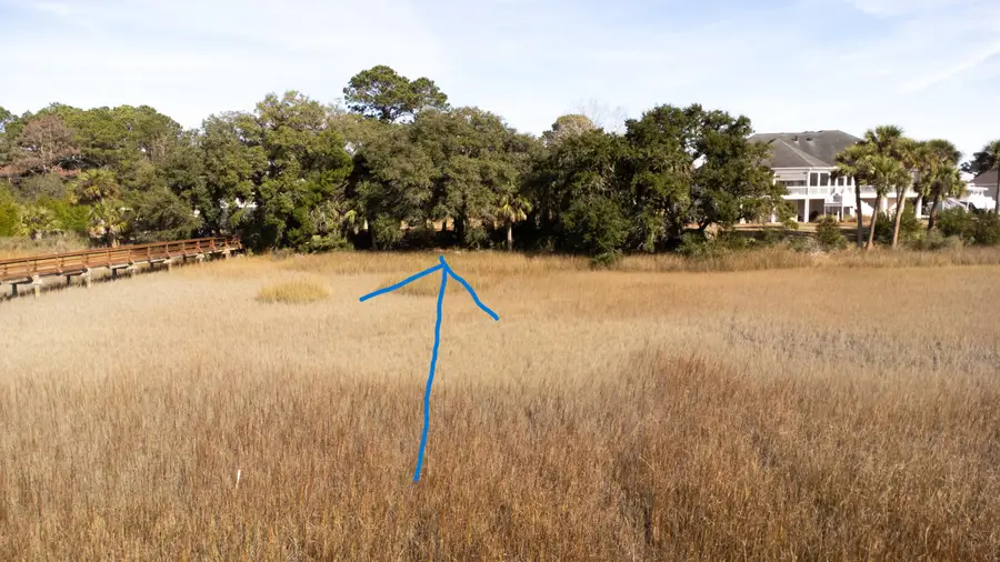 171 Bennett Island Dr., Green Pond, SC 29446 - Image #2