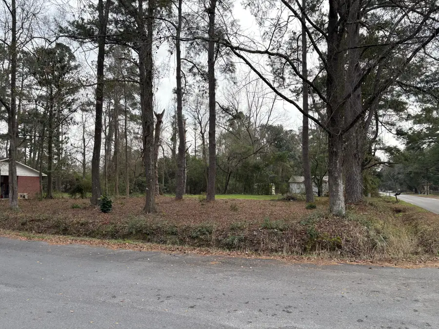410 Poplar Street, Walterboro, SC 29488 - Image #3