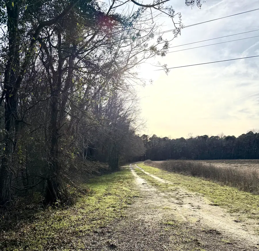 Tbd Felderville Road, Elloree, SC 29047 - Image #2