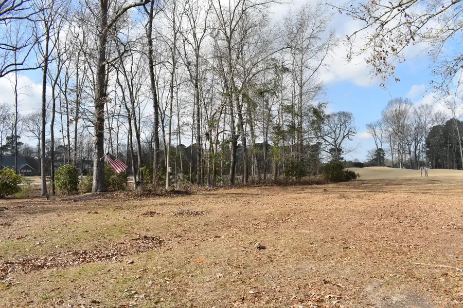 42 North Lake Circle, Manning, SC 29102 - Image #2