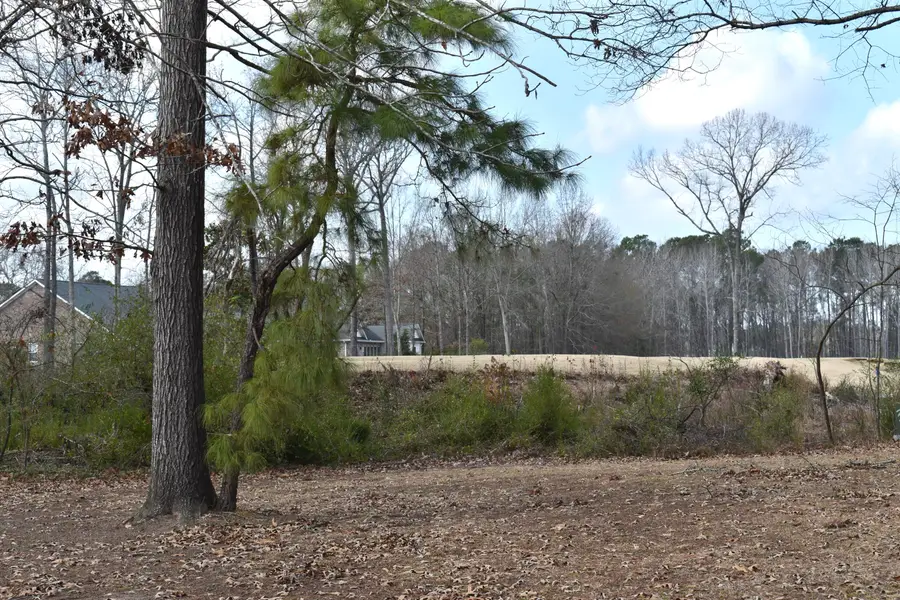 50 North Lake Circle, Manning, SC 29102 - Image #2
