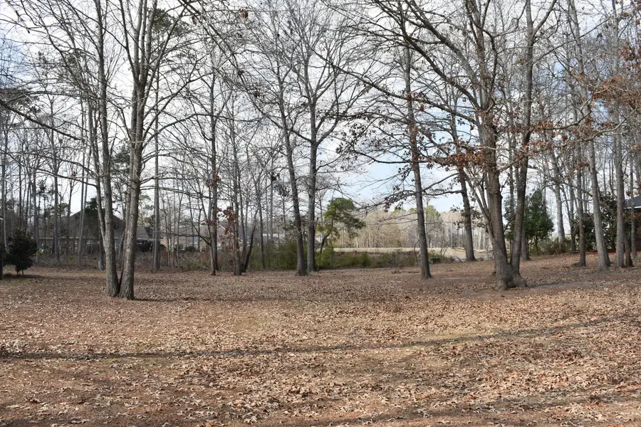 50 North Lake Circle, Manning, SC 29102 - Image #3