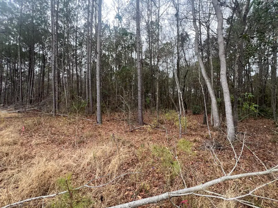 000 Hunters Ridge Lane, North Charleston, SC 29420 - Image #2