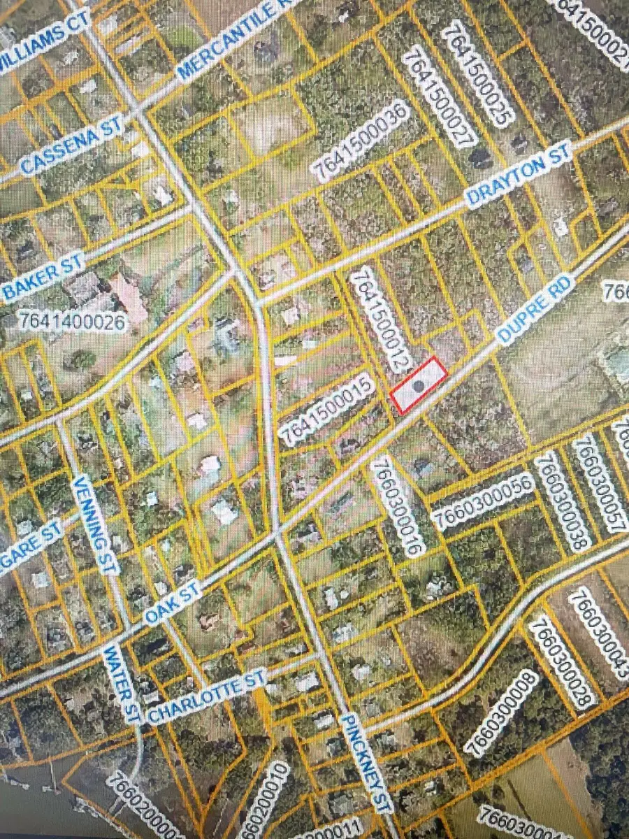 332 Dupre Road, McClellanville, SC 29458 - Image #2