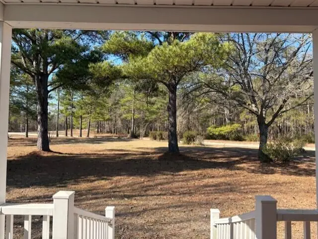 1248 Driggers Lane, Manning, SC 29102 - #2